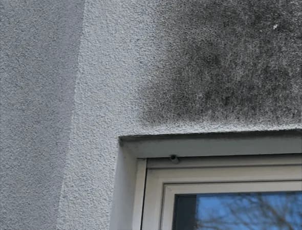 Verwitterte Fassade mit Verfärbungen vor der Behandlung