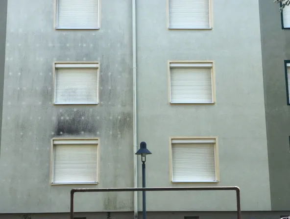 Fassade mit Moos und Grünbelag vor der Reinigung