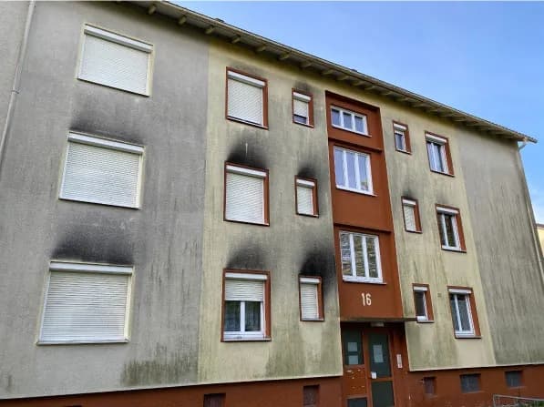 Fassade vor der Reinigung — Algenbefall und Verschmutzung