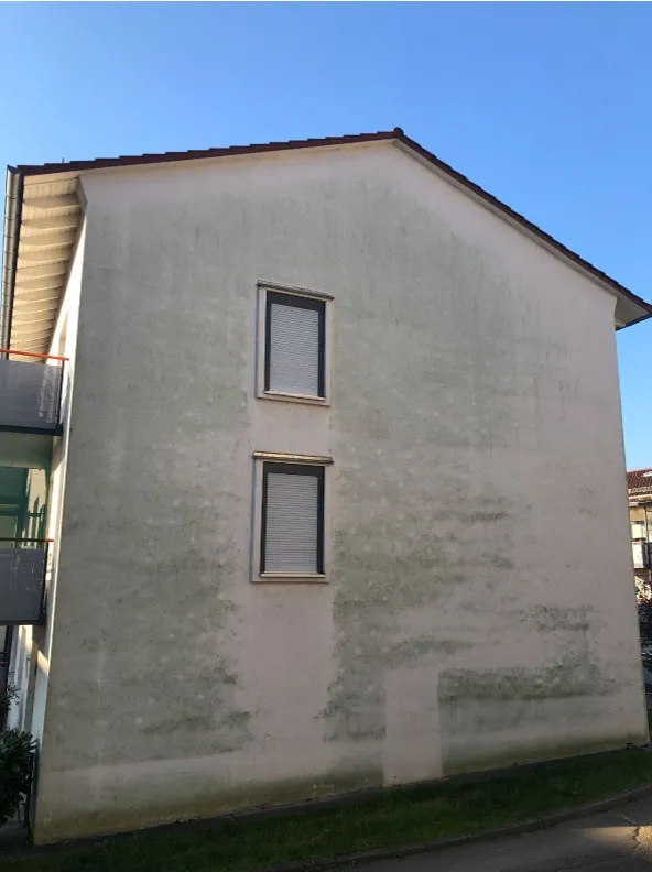 Hausfassade mit schwarzen Flecken vor der Reinigung